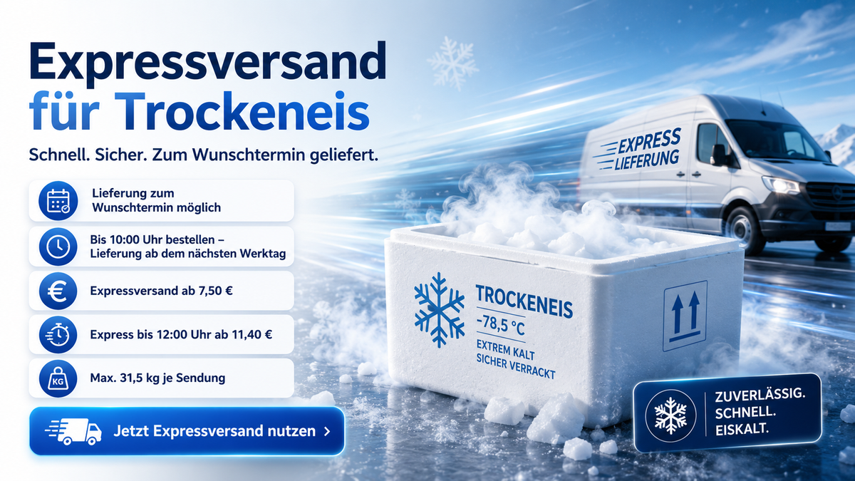 Trockeneis Expressversand und Lieferung