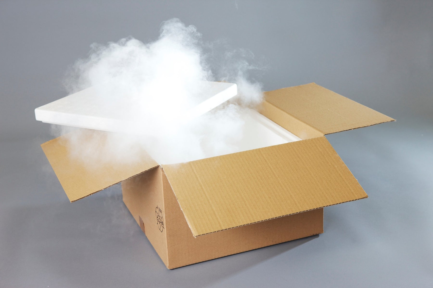 CARBO Thermobox für Trockeneis und Tiefkühlversand
